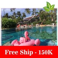 Freeship Phao bơi cho bé hình Thiên nga