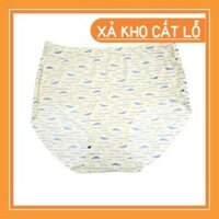 [Freeship]  Quần lót nữ su hoa Speranza SPQ6117