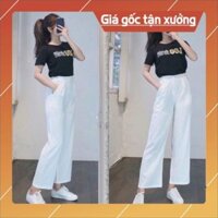 [Freeship] Quần Ống Rộng Nữ Culottes , Quần Ống Rộng Chất  Đũi Khóa Thật Dáng Suông Siêu Hot_N009
