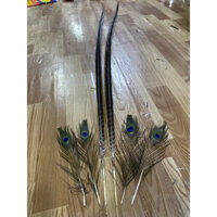 [Freeship Toàn Quốc] Lông trĩ gắn mão 1m5 - 1m6 (Cặp) hàng chuẩn không bị tưa (hướng dẫn nhiệt tình)