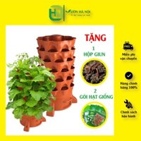 [FREESHIP TOÀN QUỐC] Tháp trồng rau hữu cơ rau sạch tại nhà ECO VIỆT NAM có tặng kèm 2 gói hạt giống và giun trùn quế