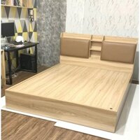 [FREESHIP TPHCM ] Giường ngủ bệt kèm kệ sách đầu giường FINILI hiện đại FNL552
