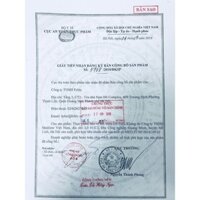 Freeship Viên Uống Hỗ Trợ Giảm Tiểu Đêm Ích Niệu Khang Medistar 20 Viên