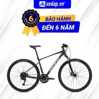 [FREESHIP] Xe Đạp Địa Hình MTB GIANT Roam 2 Disc, Phanh Đĩa, Bánh 700C – 2024