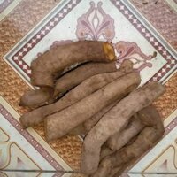 [FREESHIP XTRA]Củ gai tươi An thai (1kg)