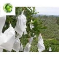 [FREESHIP_99K] [ KHÔNG PHOTOSHOP ] COMBO 500 TÚI BỌC TRÁI CÂY BƠ, ỔI, XOÀI TÚI CÓ DÂY RÚT 16x20CM VẢI KHÔNG DỆT