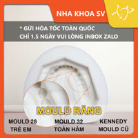 [FreeShip][SALE] MOULD 28 RĂNG | MOULD 32 RĂNG | KHUÔN RĂNG ĐỔ MẪU HÀM NHA KHOA