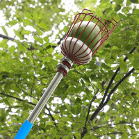 Fruit Picker Pole with Basket Height Adjustable, Mango Lemon Orange Picker - Fruits Catcher Tree Picker for Getting Fruits