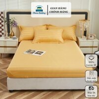 [fs] Bộ ga gối kẻ cotton 3f bo chun, bộ mền ga gối drap giường cưới cute cao cấp hàn quốc - Otama Bedding