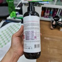 FS6 (SALE 40% - DATE 8/2021) DẦU XẢ DELOFIL NGĂN GẦU GIỮ MÀU HƯƠNG NƯỚC HOA 500ML FS6 .