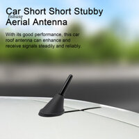 Fsh Mái Ô Tô Ăng Ten Chống Thời Tiết Tăng Cường Tín Hiệu Đa Năng Mini Xe Hơi Đài Phát Thanh Nhỏ Xe Ngắn Trên Không Xe Tiếp Liệu