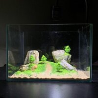 [Full combo bể 30x20x20 đầy đủ phụ kiện] bộ bể cá tiểu cảnh núi đá sườn đồi. Sỏi, cát, đá tự nhiên.