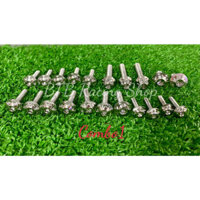 Full ốc dàn áo Salaya inox 304 (giao mẫu ngẫu nhiên) cho các dòng xe Fu led/Fu 125/Wave125 Và Wave A mới, Wave S100