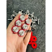 Full ốc dàn áo Salaya inox 304 cho các dòng xe Raider Fi/Satria (23con)