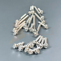 Full Ốc Lốc Máy SALAYA Mẫu Thái V2 Inox 304 Lắp Cho Tất Cả Dòng Xe