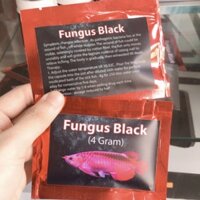 Fungus Black (đặc trị nấm cho cá)