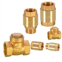 [Fwm] Van kiểm tra dọc ngang gia đình bằng đồng thau Van kiểm tra lò xo 20 / 25 / 32mm Dây ngoài bên trong Van kiểm tra nước ngang