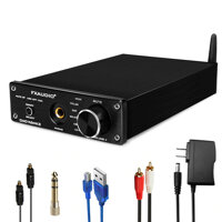 FX AUDIO DAC X6 MKII 2020 - BẢN NÂNG CẤP HOÀN HẢO CỦA DAC X6 AnZ - Đen