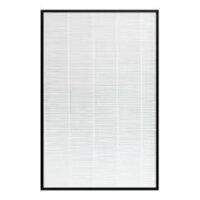 FZ-D60HFE  Màng lọc HEPA FZ-D60HFE dùng cho máy Sharp KC-G60EV-W - Hành chính hãng