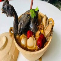 Gà Ác Bào Ngư Hầm Thuốc Bắc