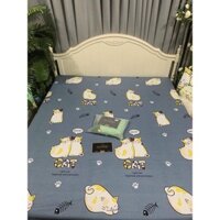 GA CHỐNG THẤM BAMBILOO 1m8-2m