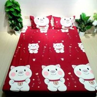 Ga chống thấm cotton 2m2