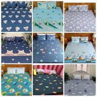 Ga chống thấm nước cotton cao cấp 2 lớp 1m8,1m6,1m4,1m2 x 2m (chọn mẫu theo hoạ tiết)