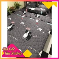 Ga chun 1m2 x1m9 kèm vỏ gối giá rẻ