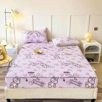Ga Chun Trần Bông Sơ Đũi Ga Trải Giường Bo Chun Drap Giường Nhiều Kích Thước m6 m8 2m2 mẫu đa dạng