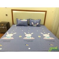 Ga cotton chống thấm Goodmama m8*2m*10cm