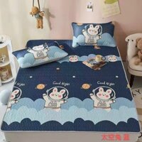 Ga điều hòa có chun cố định 4 góc gồm ga trải giường kích thước 1m6 1m8 tặng kèm 2 áo gối mẫu hoa cúc -drapbeding