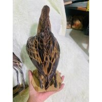 Gà đồng trống giả hàng bơm keo chống nước (gà nước , cúm núm)