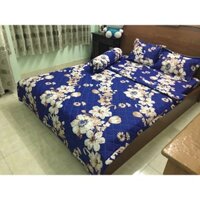 ga giường cotton 009