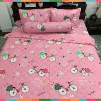 ga giường cotton 22
