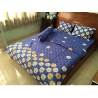 ga giường cotton 28