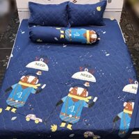 ga giường cotton 31