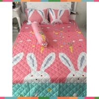 ga giường cotton 7