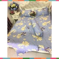 ga giường cotton