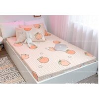 Ga Giường Nệm Cotton Poly 1M 1M2 1M6 (Bo Chun Miễn Phí)Không có vỏ gối đi kèm,mẫu đào cam
