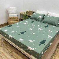 Ga Giường Nệm Cotton Poly 1M2 1M6 1M8 Drap Bốn Mùa Đủ Size Bo Chun Miễn Phí - Cây Thông - Ga 1m6x2m x10cm