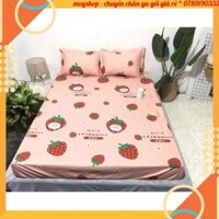 Ga gối cotton cotton bo chun, ga trải giường poly đủ size 1m2 đến 2m2 nhiều mầu (ib chọn mẫu)