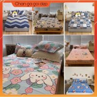Ga gối cotton poly hàng nhập khẩu, drap trải giường
