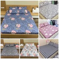 Ga Gối Trải Giường Cotton Poly Nhập Khẩu, Ga Nệm Drap Giường Đủ Size Đủ Màu