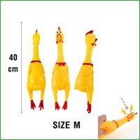 Gà La Hét   Gà Cao Su   Gà Huấn Luyện Chó SIZE Lớn Nhất 40 Cm  mã PM062