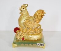 Gà mái vàng ấp trứng vàng FG071A