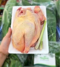 GÀ MÍA SẠCH