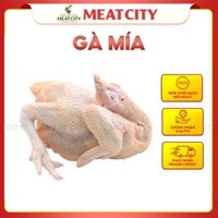 Gà Mía tươi MeatCity - FRESH Local Hen nguyên con đã làm sạch (Con 1.3-1.5kg) - Giao hỏa tốc Hà Nội