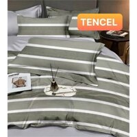 Ga Tencel lụa 2,2m*2m cao cấp mát lạnh