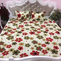 Ga thắng lợi cộng 2 vỏ gối ga gối cotton hàn quốc