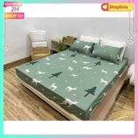 Ga Trải Giường bo chun[1m6x2m,1m8x2m,vải mềm mịn[SHOPLIVIA]-mẫu cây thông xanh